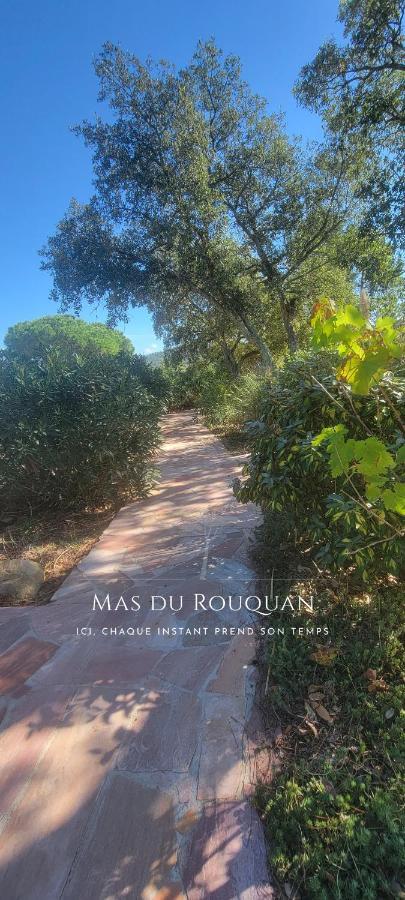וידאובה Le Mas Du Rouquan מראה חיצוני תמונה