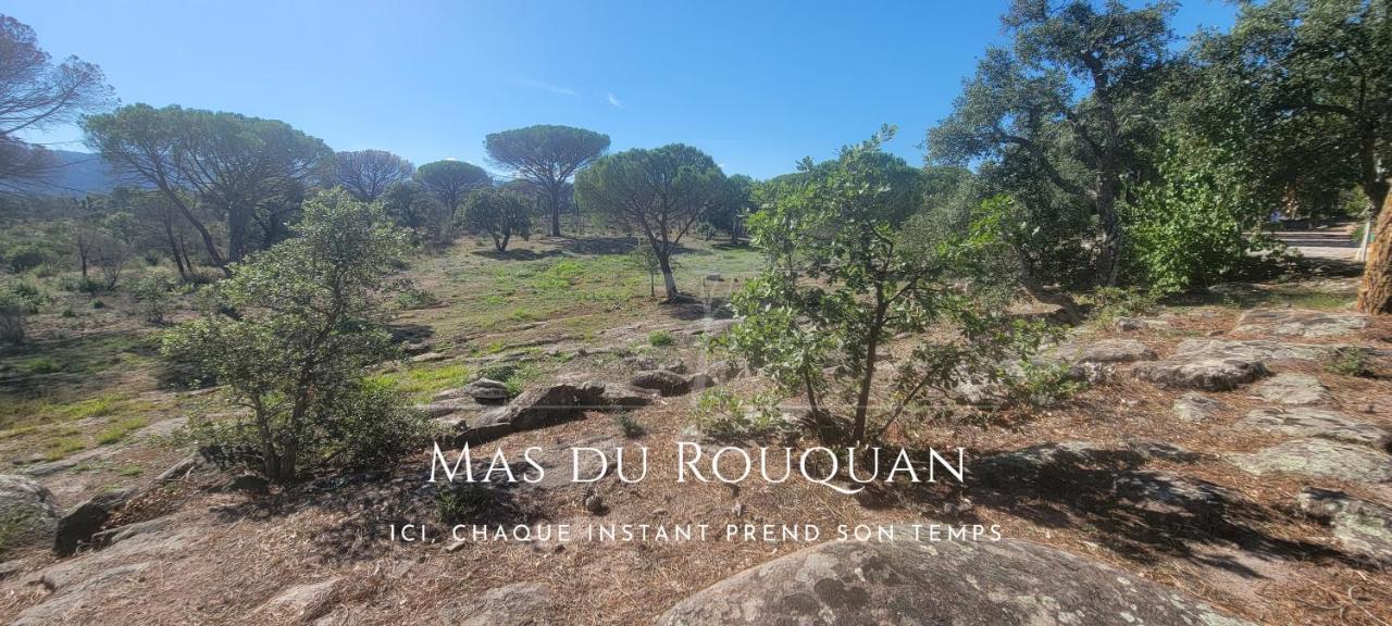 וידאובה Le Mas Du Rouquan מראה חיצוני תמונה
