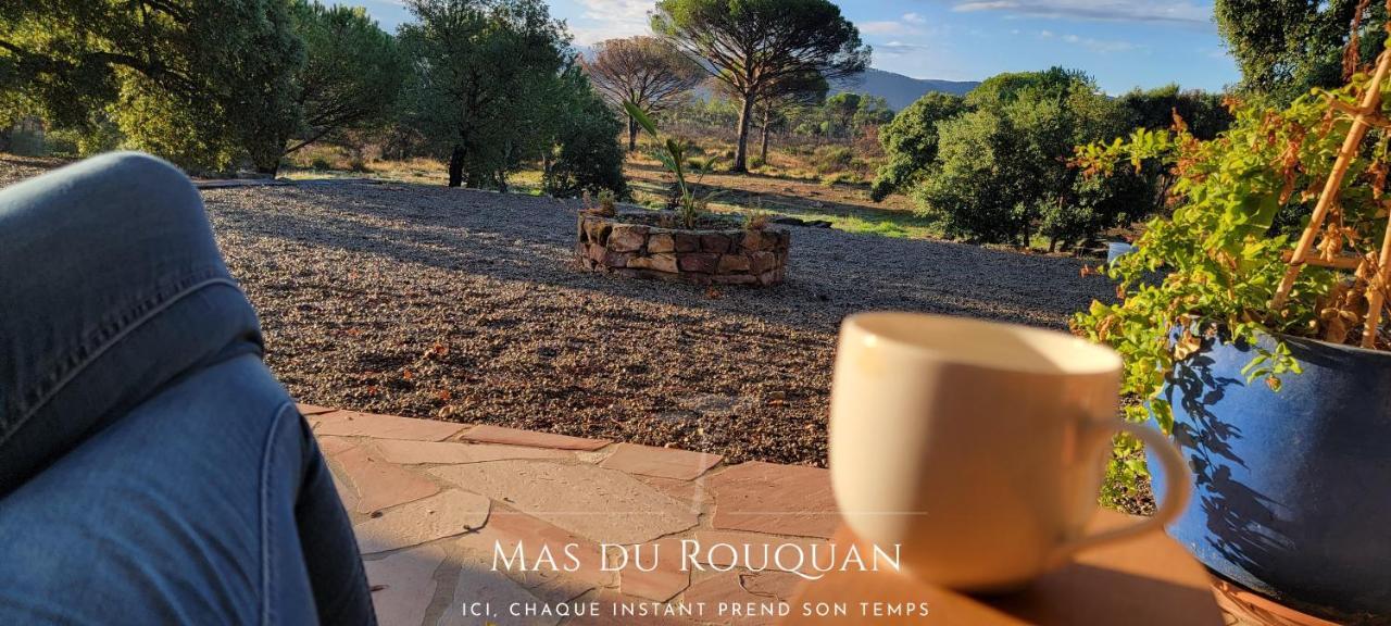 וידאובה Le Mas Du Rouquan מראה חיצוני תמונה