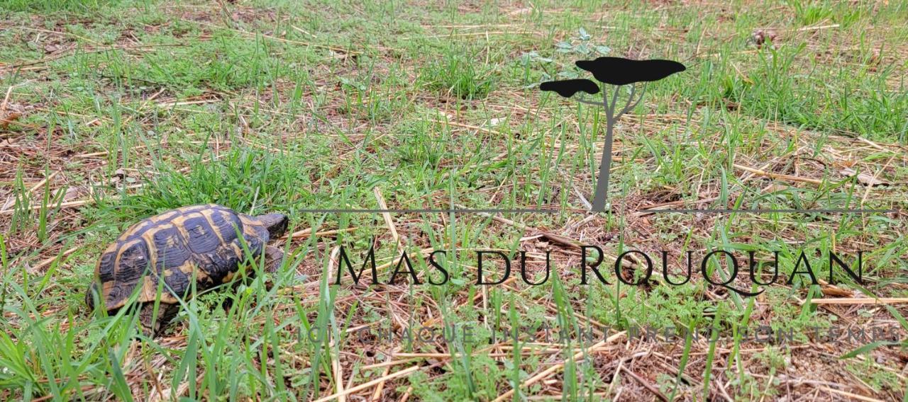 וידאובה Le Mas Du Rouquan מראה חיצוני תמונה